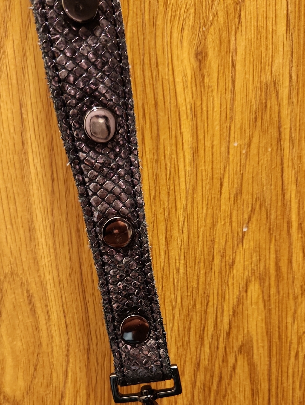 Hammitt Large Montana Snakeskin Metallic Bag. FIRM PRICE! - Picture 7 of 9